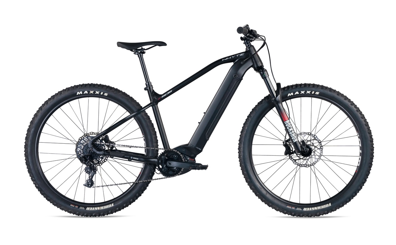 rent electric mountain bike