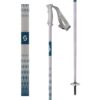 SCOTT KOKO POLES-PURPLE PEARL