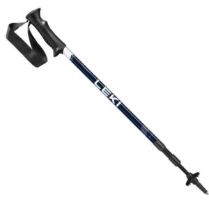 LEKI EAGLE POLES - PAIR