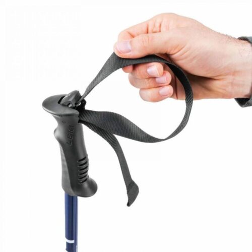 LEKI EAGLE POLES - PAIR