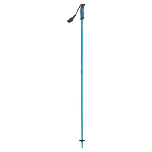 SCOTT METRIC POLES