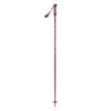 SCOTT METRIC POLES