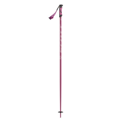 SCOTT METRIC POLES